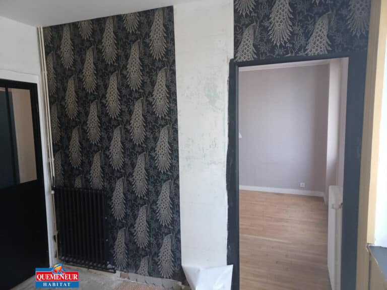 REAMENAGEMENT INTERIEUR D'UN APPARTEMENT AVEC MENUISERIE INTERIEURE PLACO ET PEINTURE A BREST